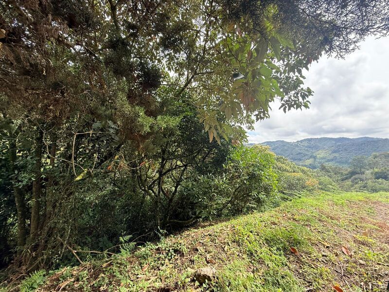 Lote en venta ubicado en El Retiro, sector Vereda las Sordas - 4