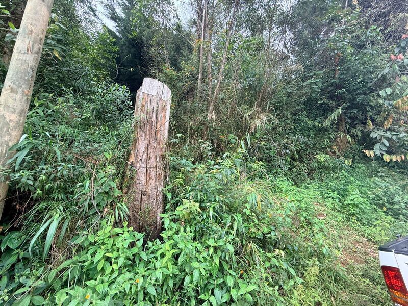 Lote en venta ubicado en El Retiro, sector Vereda las Sordas - 5