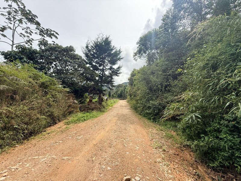 Lote en venta ubicado en El Retiro, sector Vereda las Sordas - 6