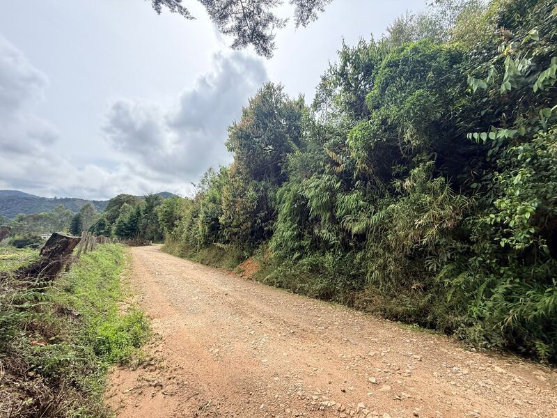 Lote en venta ubicado en El Retiro, sector Vereda las Sordas - 9