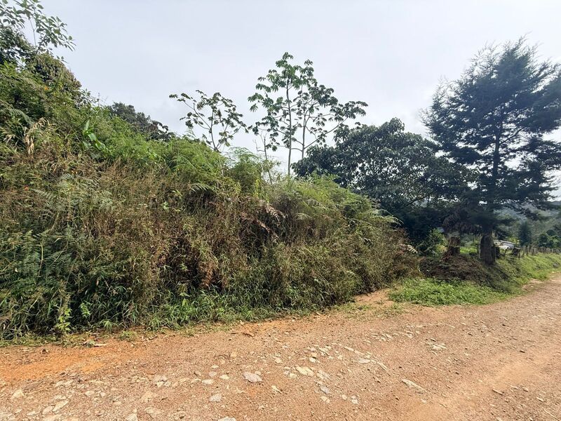 Lote en venta ubicado en El Retiro, sector Vereda las Sordas - 10