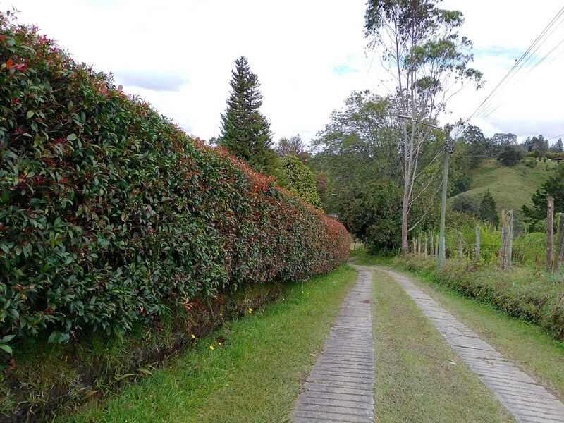 Finca en arriendo ubicada en Rionegro, sector Vereda San José - 42