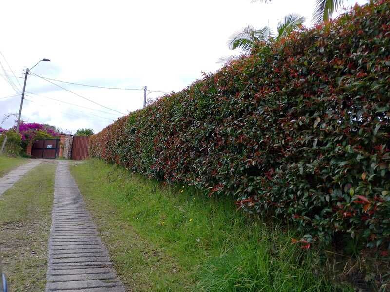 Finca en arriendo ubicada en Rionegro, sector Vereda San José - 43