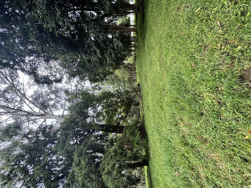 Lote en venta ubicado en La Ceja, sector Vereda el Guamito - 4