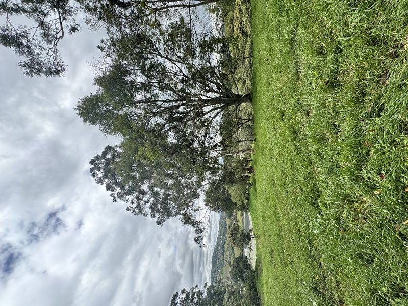 Lote en venta ubicado en La Ceja, sector Vereda el Guamito - 3