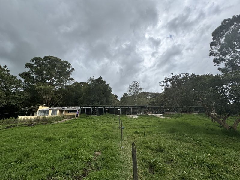 Lote en venta ubicado en La Ceja, sector Vereda el Guamito - 2