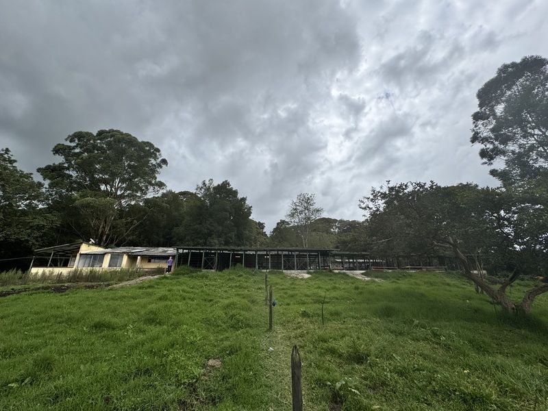 Lote en venta ubicado en La Ceja, sector Vereda el Guamito - 3