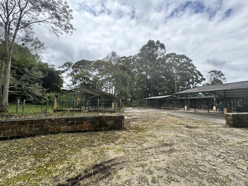 Lote en venta ubicado en La Ceja, sector Vereda el Guamito - 4