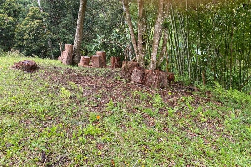 Lote en venta ubicado en Rionegro, sector Quirama - 8