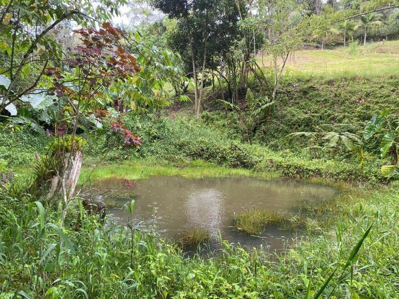 Lote en venta ubicado en Rionegro, sector Quirama - 10