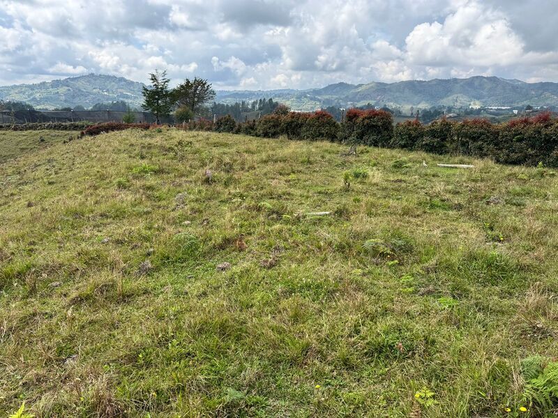Lote en venta ubicado en San Vicente Ferrer, sector Las Ovejas - 2