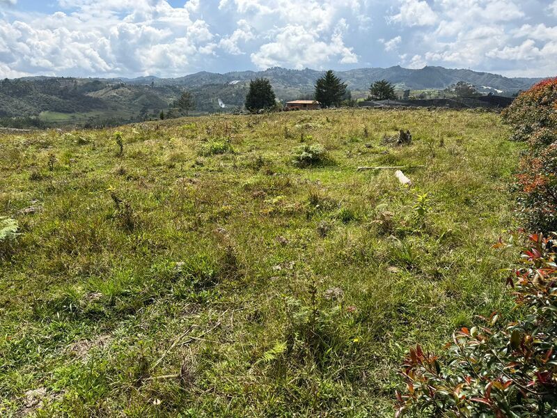 Lote en venta ubicado en San Vicente Ferrer, sector Las Ovejas - 3