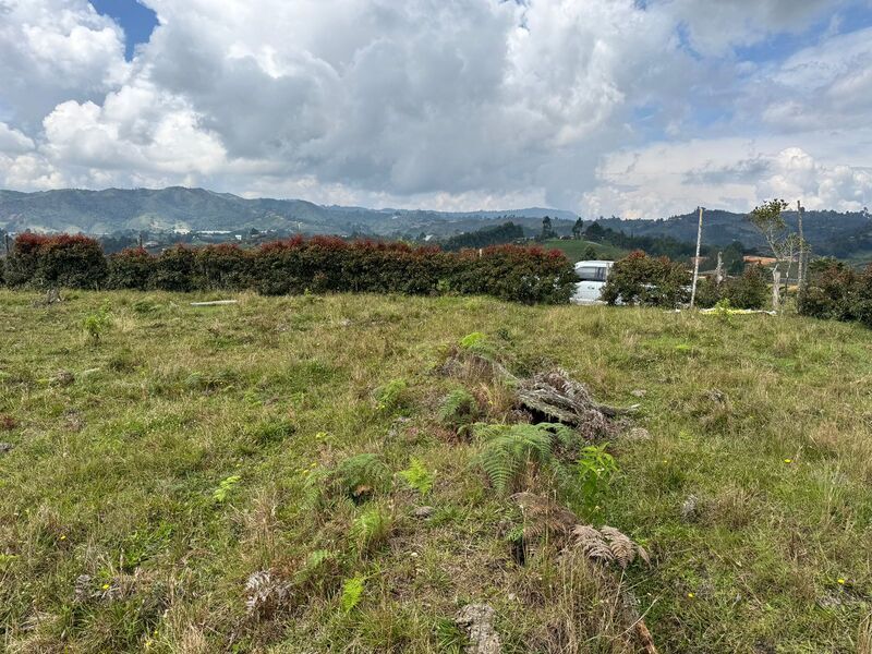 Lote en venta ubicado en San Vicente Ferrer, sector Las Ovejas - 4