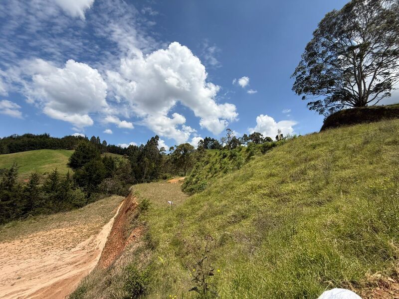 Lote en venta ubicado en La Ceja, sector Pantanillo - 11