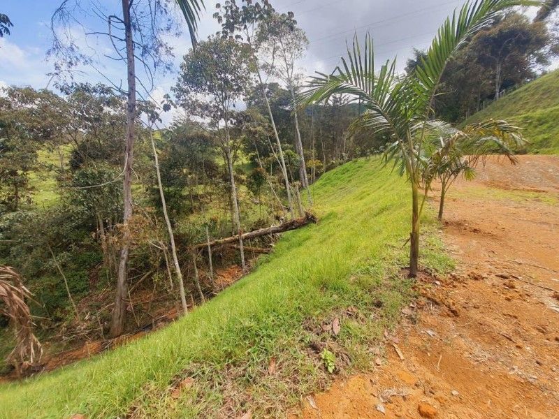 Lote en venta ubicado en La Ceja, sector El Capiro - 7
