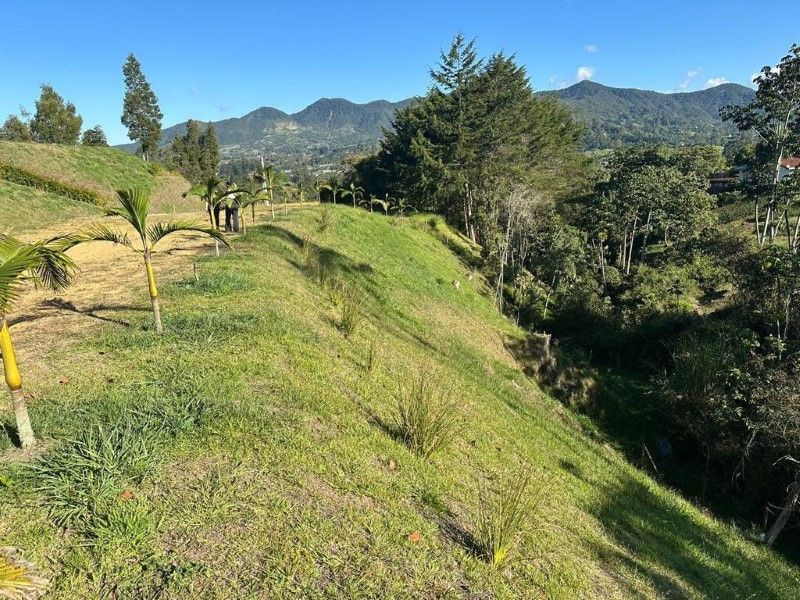 Lote en venta ubicado en La Ceja, sector El Capiro - 10