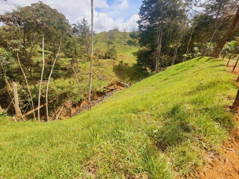 Lote en venta ubicado en La Ceja, sector El Capiro - 11