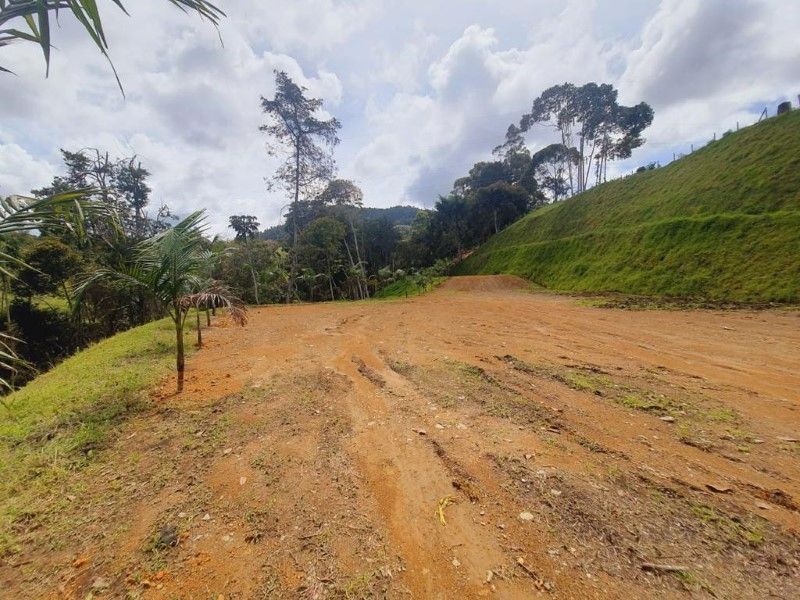 Lote en venta ubicado en La Ceja, sector El Capiro - 13