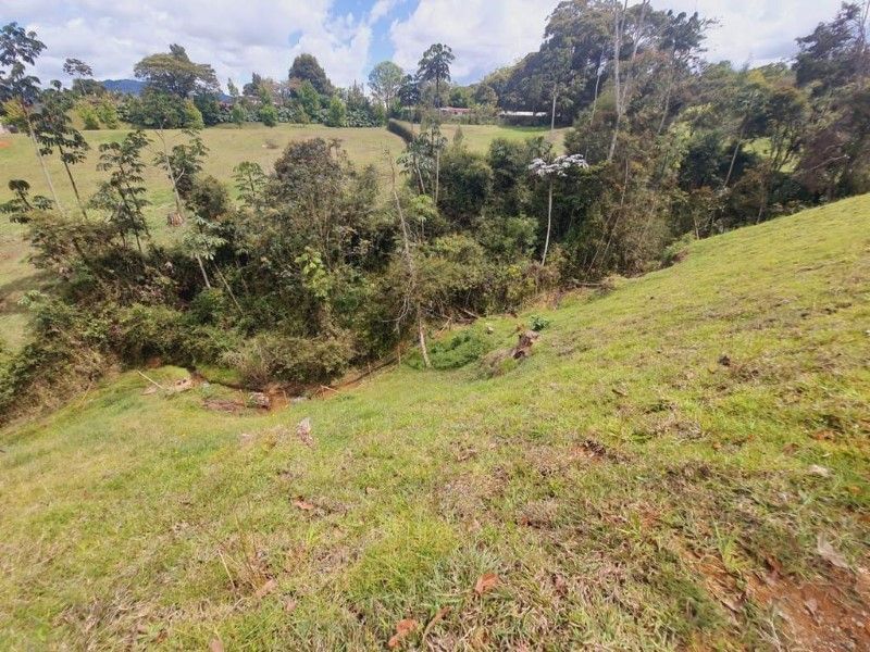 Lote en venta ubicado en La Ceja, sector El Capiro - 14