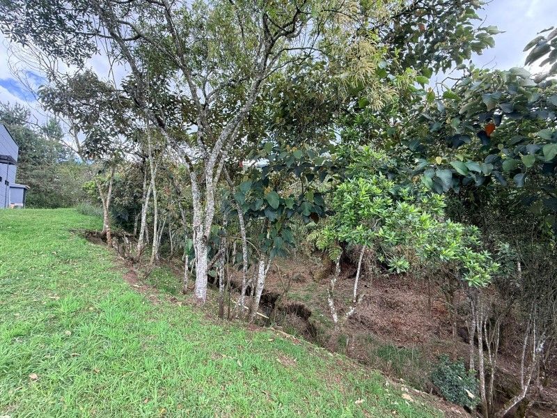 Finca en venta ubicada en La Ceja, sector Las Lomitas - 26