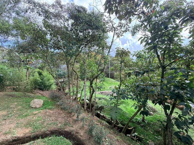 Finca en venta ubicada en La Ceja, sector Las Lomitas - 28