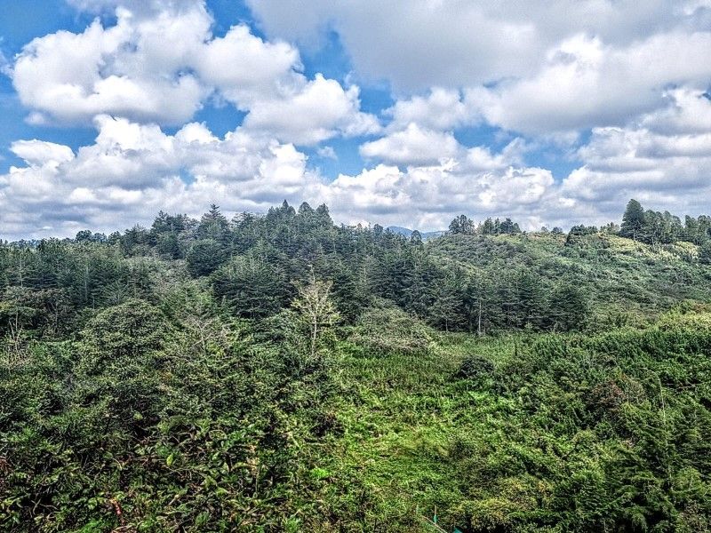 Apartamento en venta ubicado en Rionegro, sector El Porvenir - 11