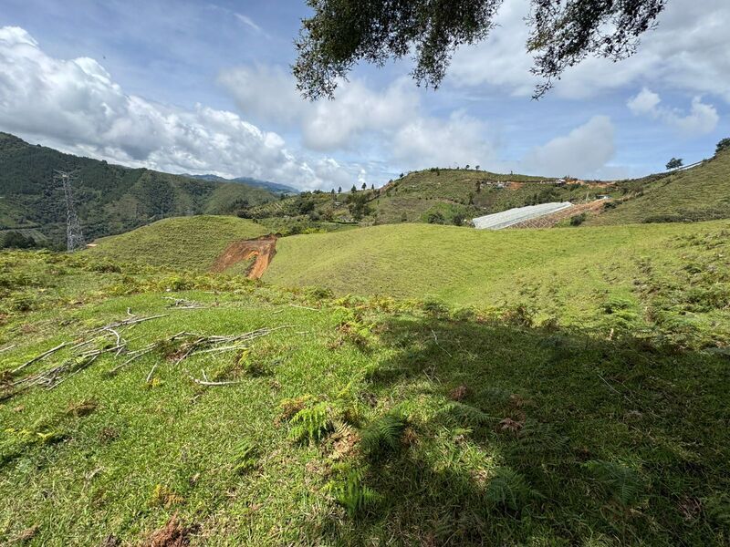 Lote en venta ubicado en La Ceja, sector Vereda las Piedras - 4