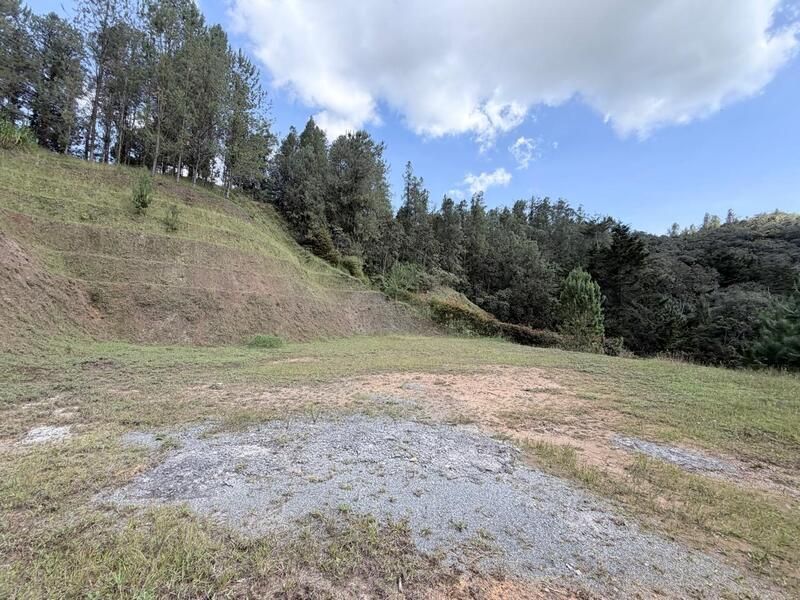 LOTE EN VENTA UBICADO EN LA CEJA SECTOR EL CHUSCAL - 8