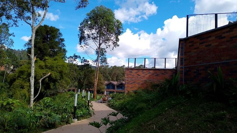 APARTAESTUDIO EN ARRIENDO UBICADO EN EL RETIRO SECTOR LA FE - 18