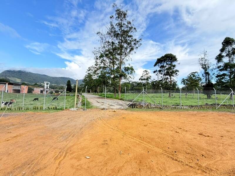 LOTE EN VENTA UBICADO EN LA CEJA SECTOR CIRCUNVALAR - 7