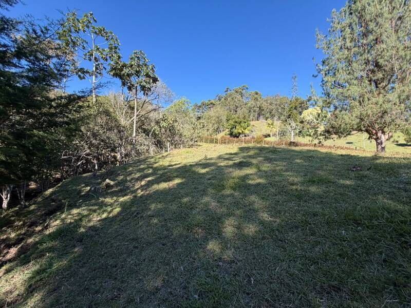 LOTE EN VENTA UBICADO EN LA CEJA SECTOR EL YARUMO - 4