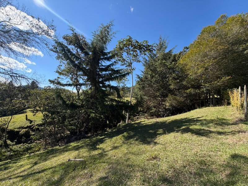 LOTE EN VENTA UBICADO EN LA CEJA SECTOR EL YARUMO - 6