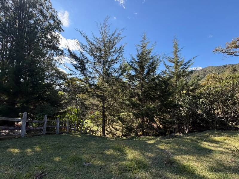 LOTE EN VENTA UBICADO EN LA CEJA SECTOR EL YARUMO - 8