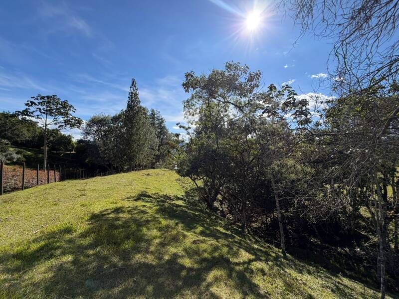 LOTE EN VENTA UBICADO EN LA CEJA SECTOR EL YARUMO - 10