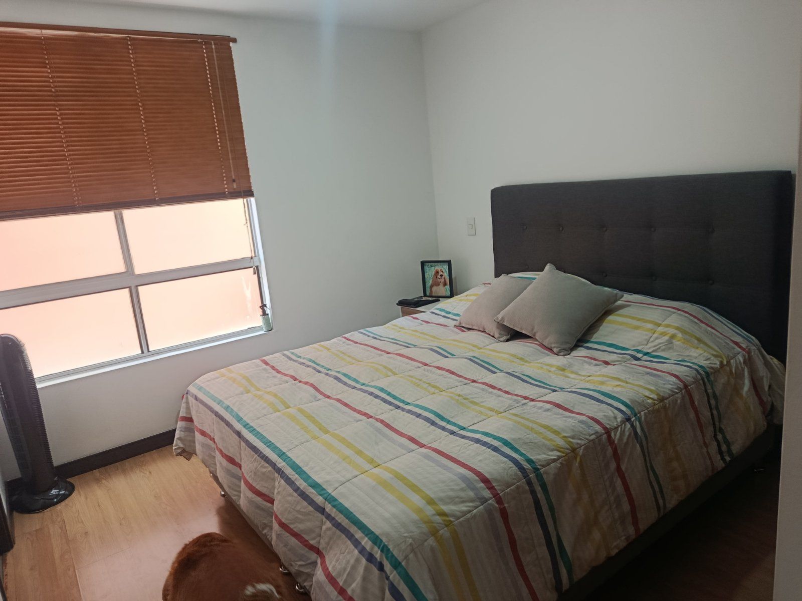 APARTAMENTO EN ARRIENDO UBICADO EN MEDELLIN   SECTOR LAURELES - 5