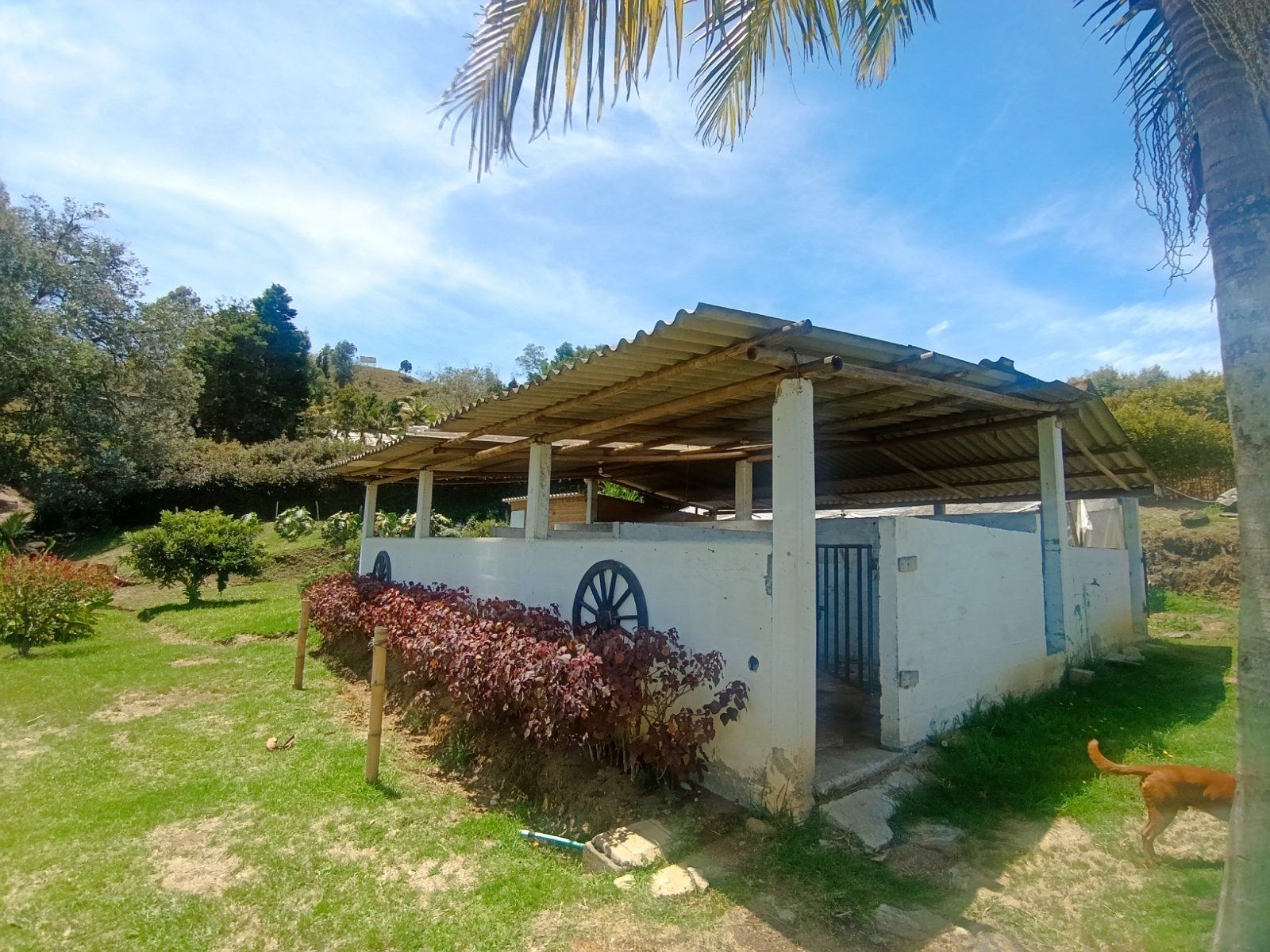 FINCA PARA ARRIENDO EN GUARNE SECTOR VEREDA SAN JOSE - 15
