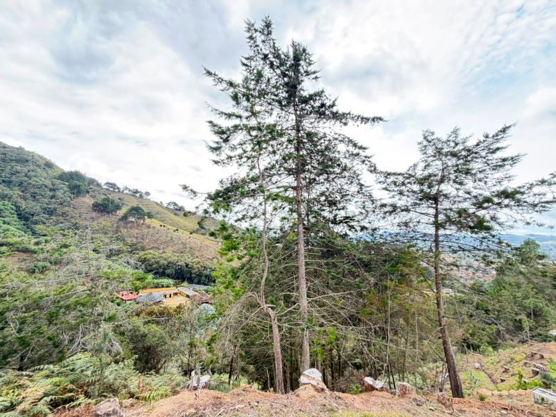 LOTE EN VENTA UBICADO EN LA CEJA SECTOR PUYACO - 2