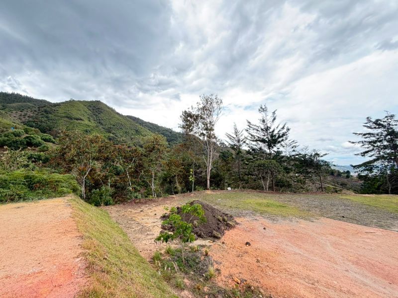 LOTE EN VENTA UBICADO EN LA CEJA SECTOR PUYACO - 9