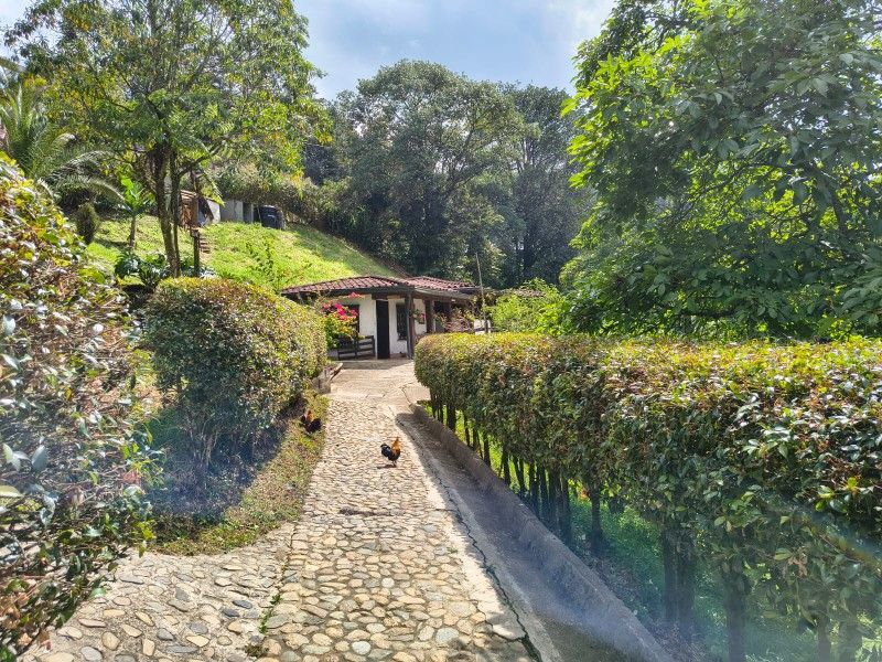 CASA EN VENTA UBICADO EN LA ESTRELLA  SECTOR LA TABLAZA - 25