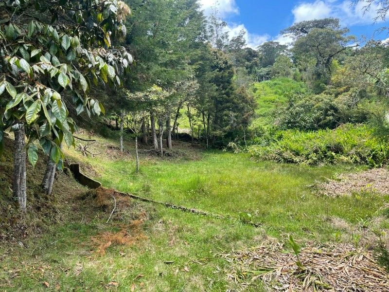 LOTE EN VENTA UBICADO EN - 3