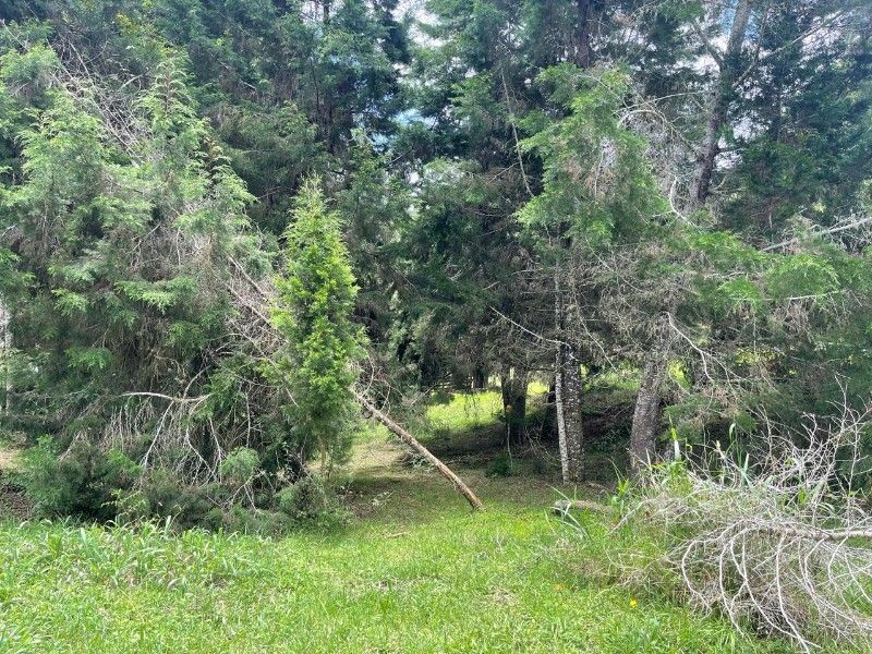 LOTE EN VENTA UBICADO EN - 4