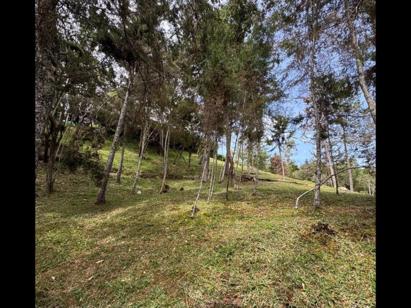 LOTE EN VENTA UBICADO EN GUARNE SECTOR VEREDA YOLOMBAL - 4