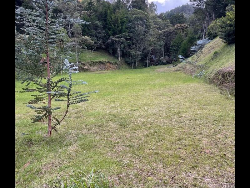 LOTE EN VENTA UBICADO EN GUARNE SECTOR VEREDA YOLOMBAL - 5