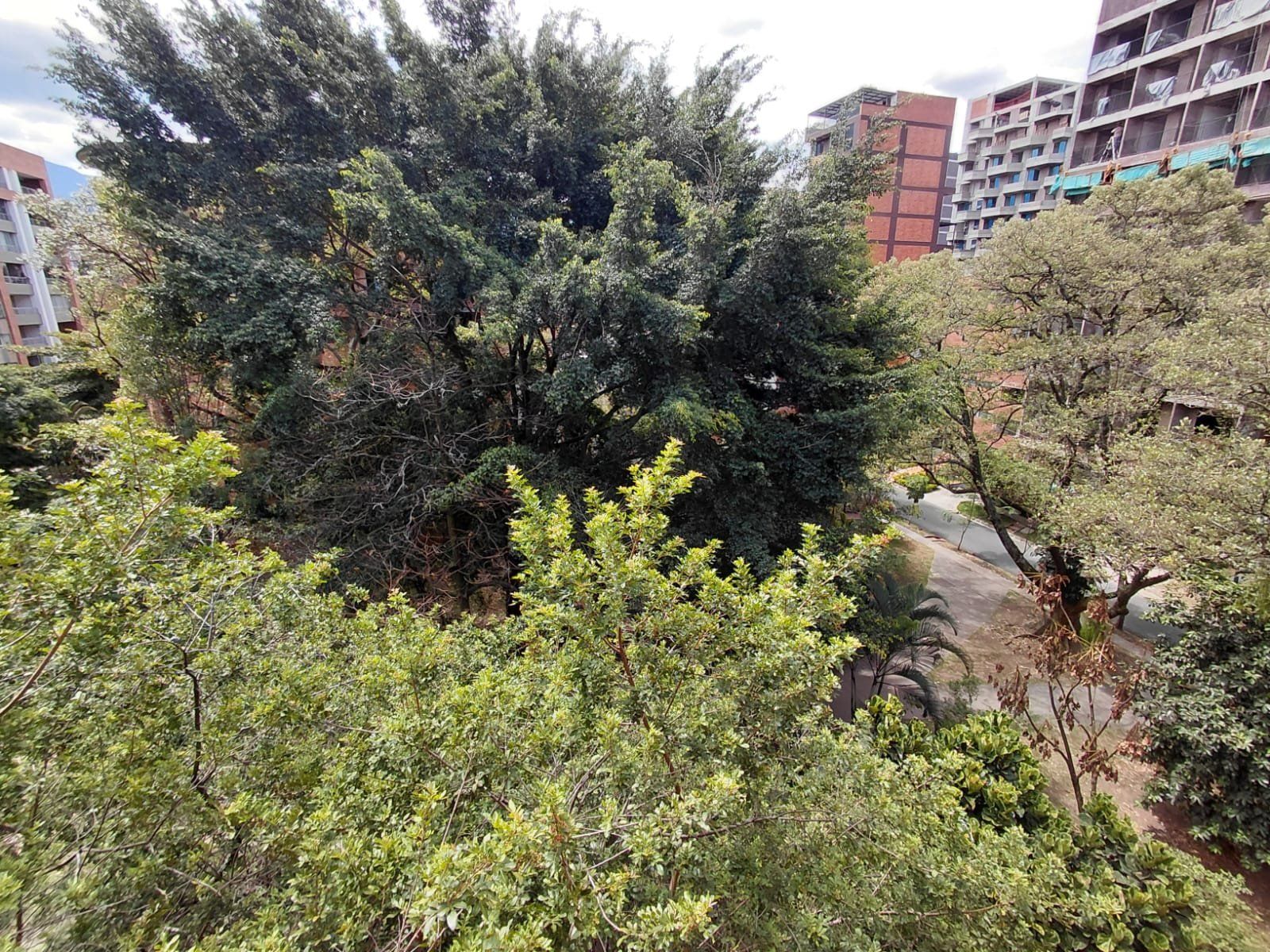 APARTAMENTO EN ARRIENDO UBICADO EN MEDELLIN SECTOR LOS CONQUISTADORES - 12
