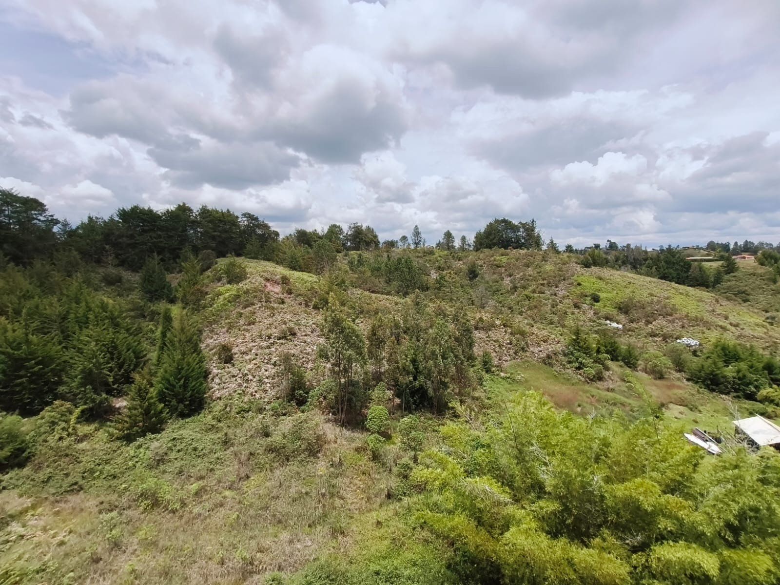 APARTAMENTO EN ARRIENDO UBICADO EN RIONEGRO SECTOR BARRO BLANCO - 15