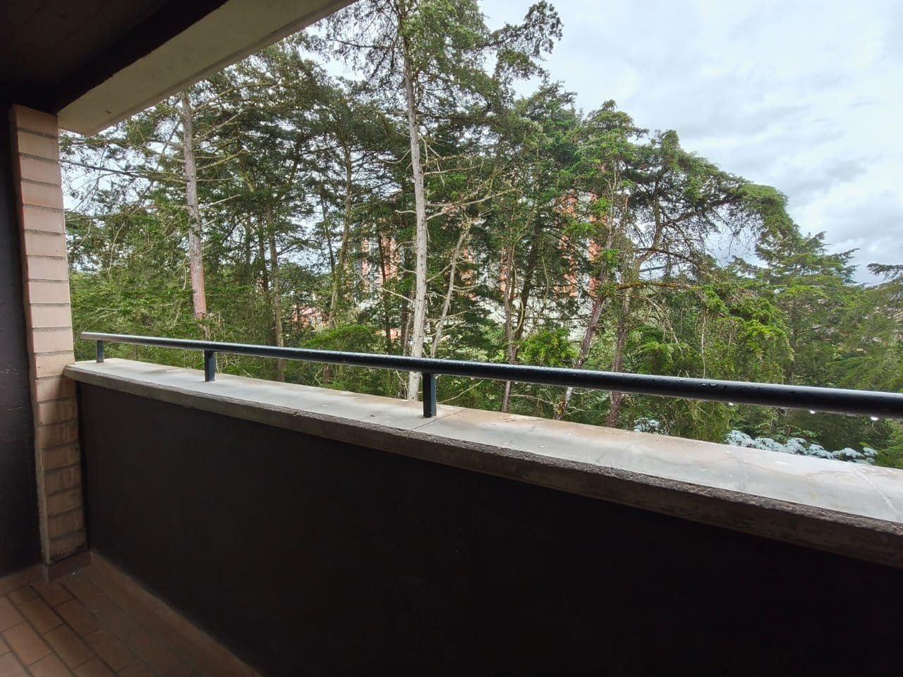 APARTAMENTO EN ARRIENDO UBICADO EN RIONEGRO SECTOR SAN ANTONIO DE PEREIRA - 11